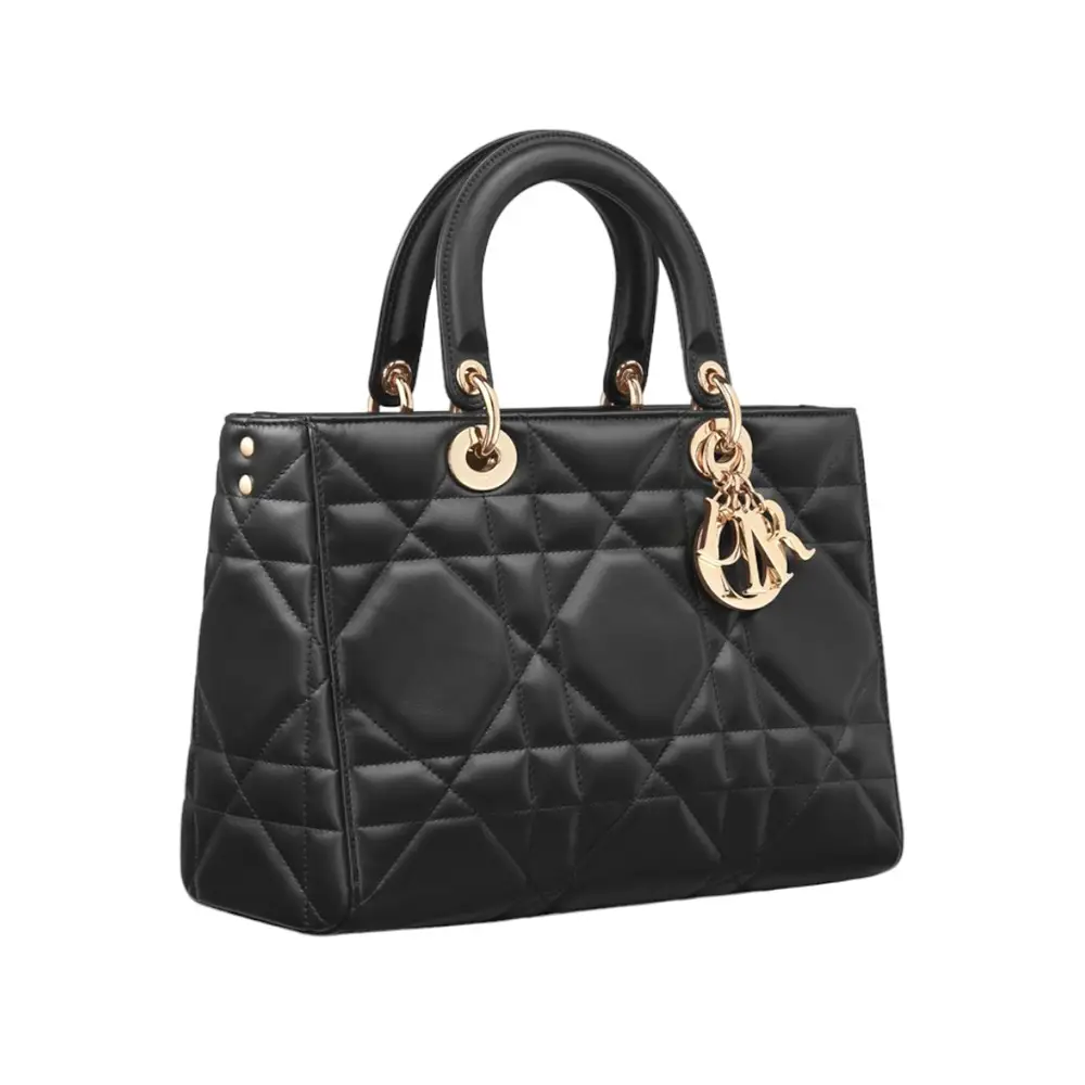 Harga lady dior bag shop
