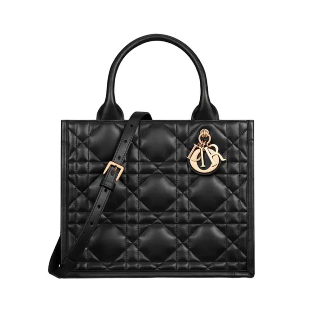 Dior bag matte hotsell