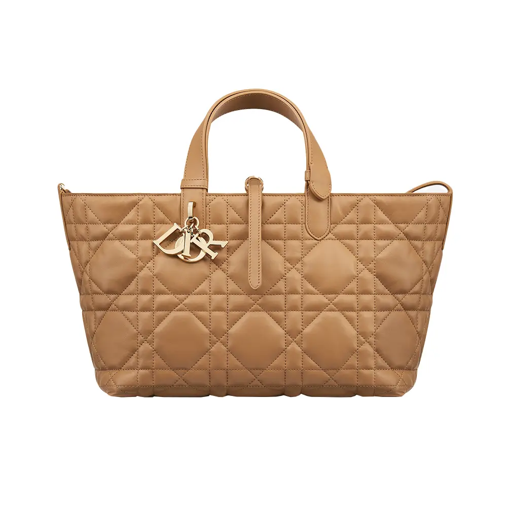 Christian dior tasje hot sale