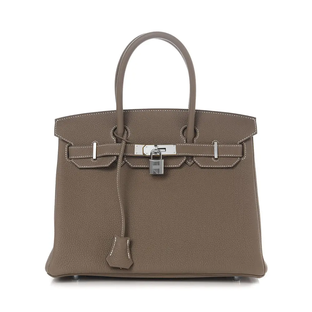 Cricket Coaching The Most Expensive Birkin Bag Nita Ambani Hermes