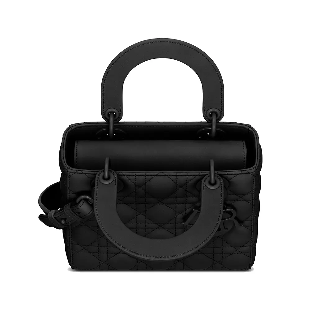 Dior matte black bag best sale