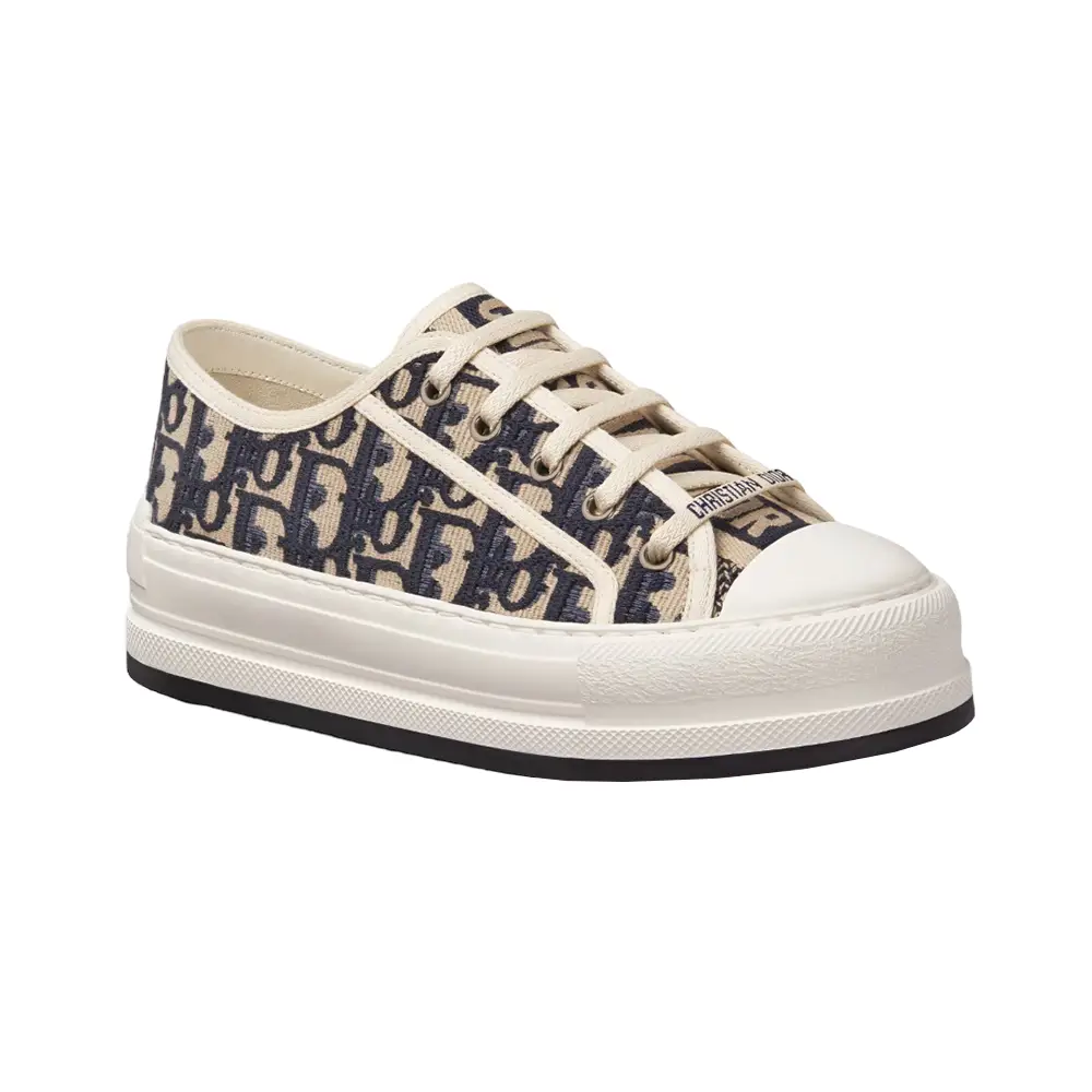 Dior shoes oblique online