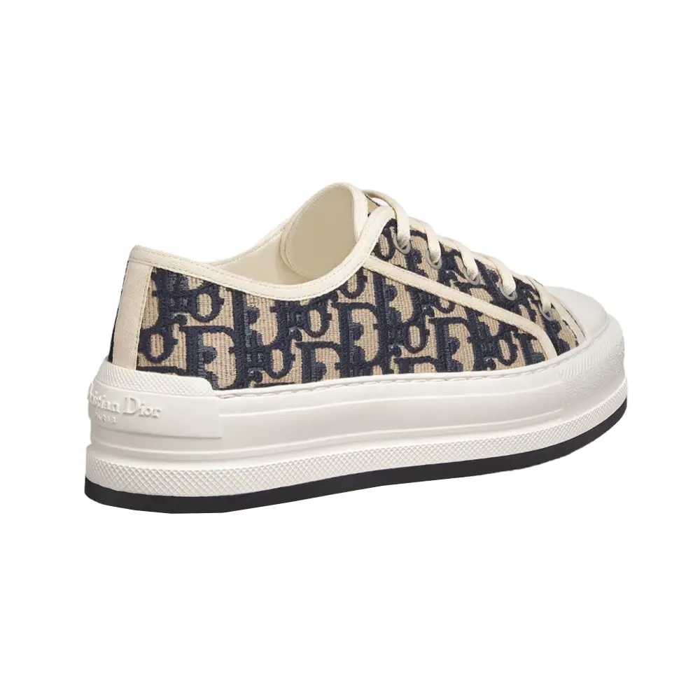 Dior shoes online
