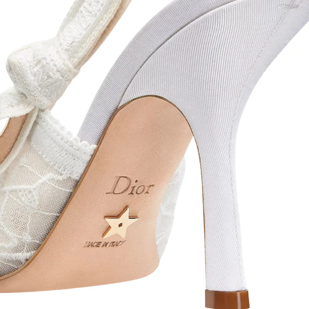 Christian Dior Slingback 100 Pump Transparent Mesh Embroidered