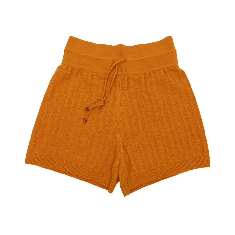 Hermes H Wool Short Pants Aubergine – voilà.id