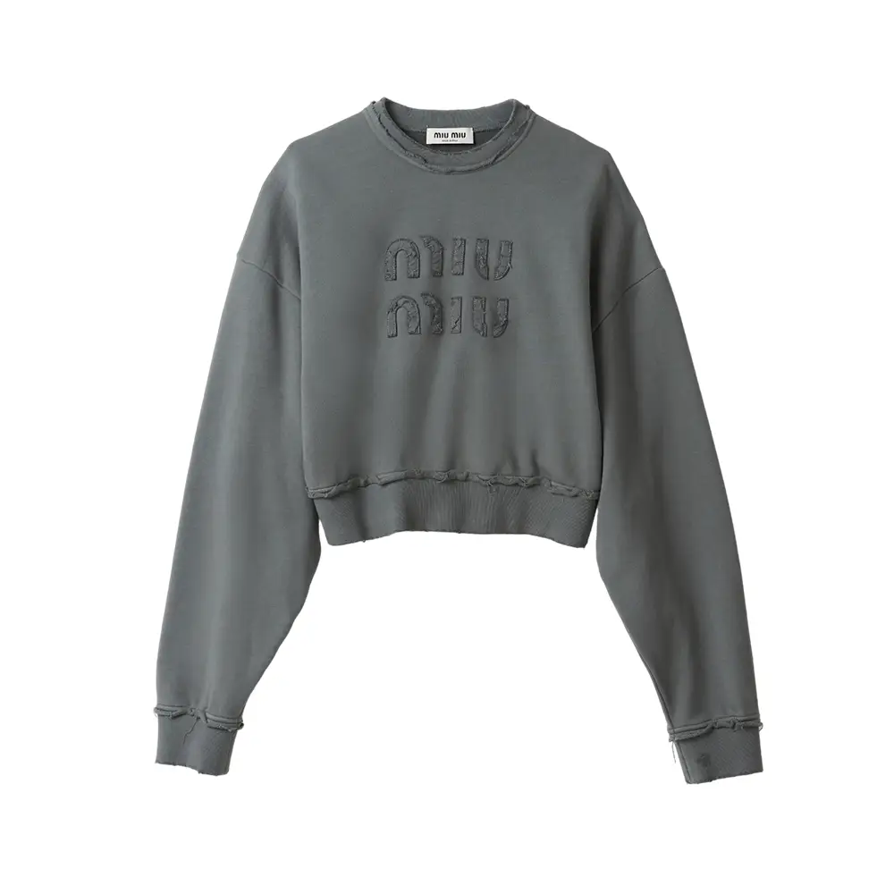 24PF new/MiuMiu ロゴシルクトップ Top Gray 24PF new/MiuMiu ロゴシルクトップ Top Gray (MiuMiu/Tシャツ